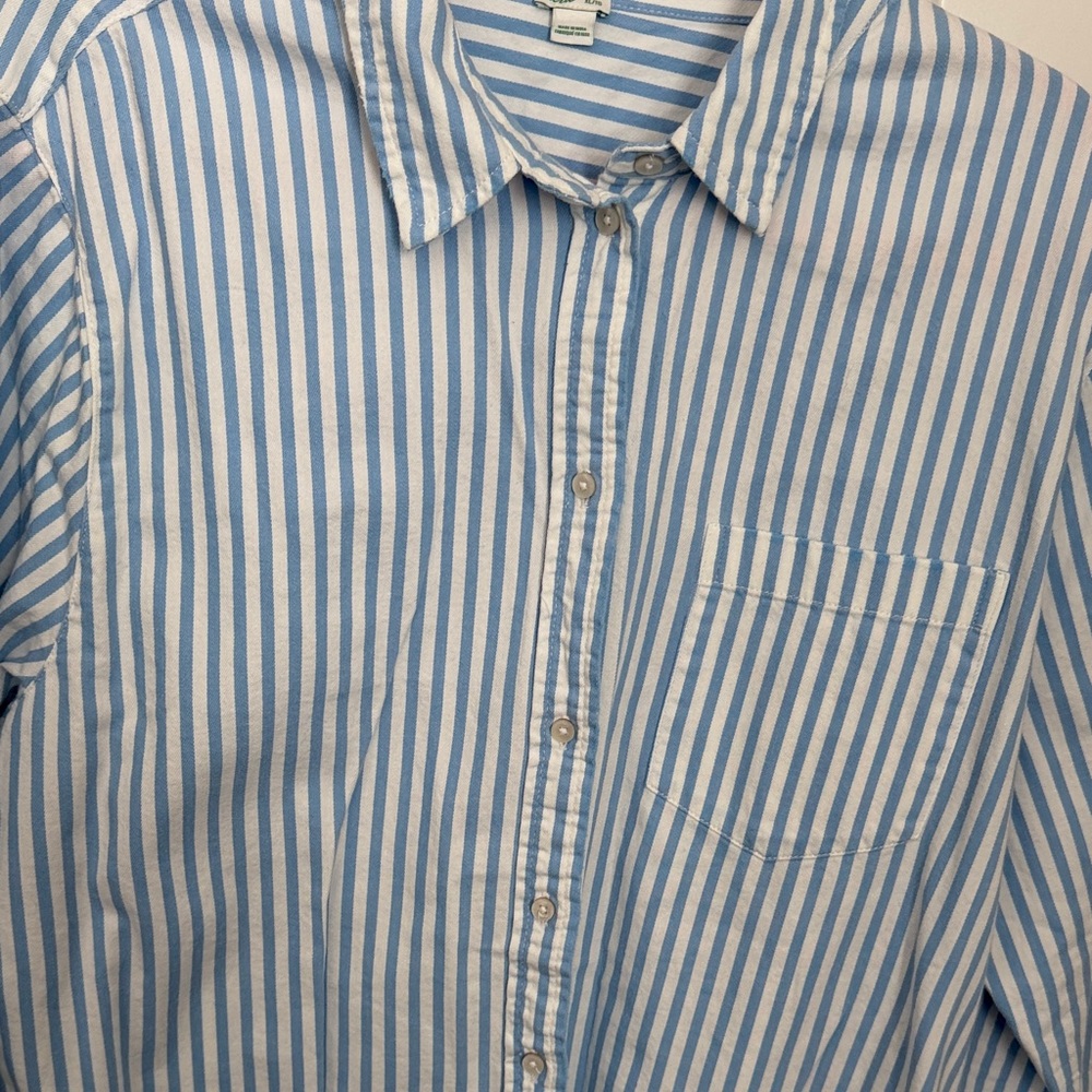 Aerie Blue and White Striped Women's Button Down Shirt